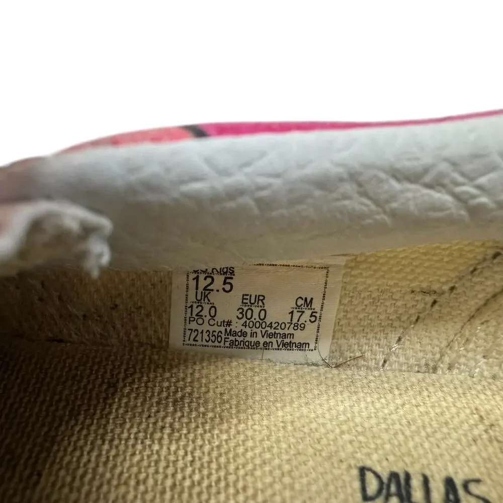 VANS x DALLAS CLAYTON Rainbow Cartoon Slip On Sneakers Size 12.5 Kids Unisex